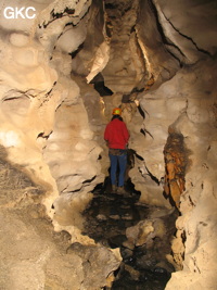 Grotte de Caigangdong 菜缸洞 (Fuyan 桴焉, Zheng'an 正安, Zunyi Shi 遵义市, Guizhou 贵州省,  Chine 中国).