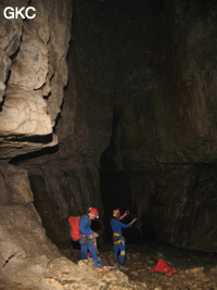 Grotte de Caigangdong 菜缸洞 (Fuyan 桴焉, Zheng'an 正安, Zunyi Shi 遵义市, Guizhou 贵州省,  Chine 中国).