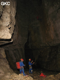 Grotte de Caigangdong 菜缸洞 (Fuyan 桴焉, Zheng'an 正安, Zunyi Shi 遵义市, Guizhou 贵州省,  Chine 中国).