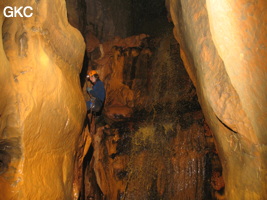 Grotte de Caigangdong 菜缸洞 (Fuyan 桴焉, Zheng'an 正安, Zunyi Shi 遵义市, Guizhou 贵州省,  Chine 中国).