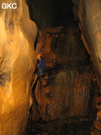 Grotte de Caigangdong 菜缸洞 (Fuyan 桴焉, Zheng'an 正安, Zunyi Shi 遵义市, Guizhou 贵州省,  Chine 中国).