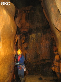 Grotte de Caigangdong 菜缸洞 (Fuyan 桴焉, Zheng'an 正安, Zunyi Shi 遵义市, Guizhou 贵州省,  Chine 中国).