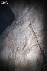 Restes d'équipements fixes en bambou des cueilleurs de nids d'hirondelles. Grotte résurgence de Yanzidong 燕子洞 (Xiantang 羡塘镇, Huishui 惠水, Guizhou 贵州省, Qiannan 黔南, Chine 中国).