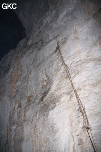 Restes d'équipements fixes en bambou des cueilleurs de nids d'hirondelles. Grotte résurgence de Yanzidong 燕子洞 (Xiantang 羡塘镇, Huishui 惠水, Guizhou 贵州省, Qiannan 黔南, Chine 中国).