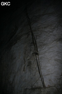 Restes d'équipements fixes en bambou des cueilleurs de nids d'hirondelles. Grotte résurgence de Yanzidong 燕子洞 (Xiantang 羡塘镇, Huishui 惠水, Guizhou 贵州省, Qiannan 黔南, Chine 中国).