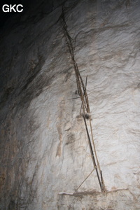 Restes d'équipements fixes en bambou des cueilleurs de nids d'hirondelles. Grotte résurgence de Yanzidong 燕子洞 (Xiantang 羡塘镇, Huishui 惠水, Guizhou 贵州省, Qiannan 黔南, Chine 中国).