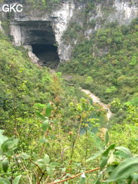 Le porche d'entrée de la grotte-perte de Wengdaxiadong 翁达下洞 (Xiantang 羡塘镇, Huishui 惠水, Guizhou 贵州省, Qiannan 黔南, Chine 中国).