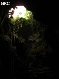 Le puits d'entrée (12 m) de la grotte de Tiaoshuidong 挑水洞 (Xiantang, Huishui 惠水, Qiannan, Guizhou)