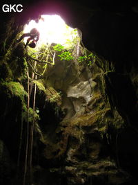 Le puits d'entrée (12 m) de la grotte de Tiaoshuidong 挑水洞 (Xiantang, Huishui 惠水, Qiannan, Guizhou)