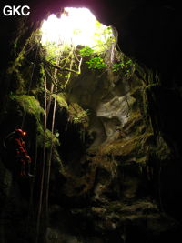 Le puits d'entrée (12 m) de la grotte de Tiaoshuidong 挑水洞 (Xiantang, Huishui 惠水, Qiannan, Guizhou)