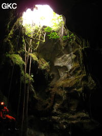 Le puits d'entrée (12 m) de la grotte de Tiaoshuidong 挑水洞 (Xiantang, Huishui 惠水, Qiannan, Guizhou)