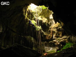 Le puits d'entrée (12 m) de la grotte de Tiaoshuidong 挑水洞 (Xiantang, Huishui 惠水, Qiannan, Guizhou)