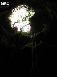 Le puits d'entrée (12 m) de la grotte de Tiaoshuidong 挑水洞 (Xiantang, Huishui 惠水, Qiannan, Guizhou)