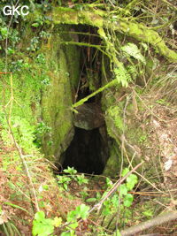 Le puits d'entrée de la grotte de Meidongwan 煤洞湾 - réseau de Mawangdong 麻王洞. (Fuyan 桴焉, Zheng'an 正安, Zunyi Shi 遵义市, Guizhou 贵州省, Chine 中国).