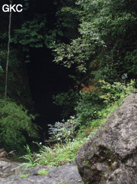 Grotte de Laoyingdong 老鹰洞 (Suiyang 绥阳, Zunyi 遵义市, Guizhou 贵州省, Chine 中国).