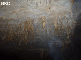 Grotte de Pixiaodong 皮硝洞 - réseau de Shuanghedong 双河洞 - (Wenquan, Suiyang 绥阳, Zunyi 遵义市, Guizhou 贵州省, Chine 中国).