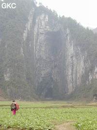 Le porche d'entrée de Dadong 大洞, ouverture béante sur la bordure nord du poljé de Rangshuiba. (Suiyang 绥阳, Zunyi 遵义市, Guizhou 贵州省, Chine).