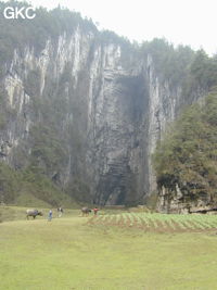 Le porche d'entrée de Dadong 大洞, ouverture béante sur la bordure nord du poljé de Rangshuiba. (Suiyang 绥阳, Zunyi 遵义市, Guizhou 贵州省, Chine).