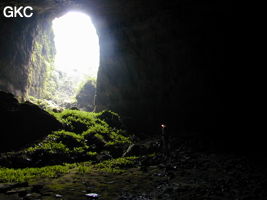 Le porche nord de Dadong 大洞 permet d'accéder à Dadongtiankeng 大洞天坑 (Wenquan, Suiyang 绥阳, Zunyi 遵义市, Guizhou 贵州省, Chine)