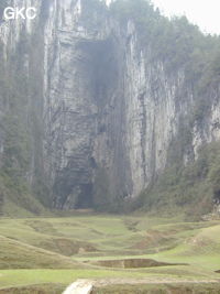 Le porche d'entrée de Dadong 大洞 a la particularité d'avoir une hauteur qui passe de 100 m à 1 m en quelques mètres ... (Suiyang 绥阳, Zunyi 遵义市, Guizhou 贵州省, Chine).